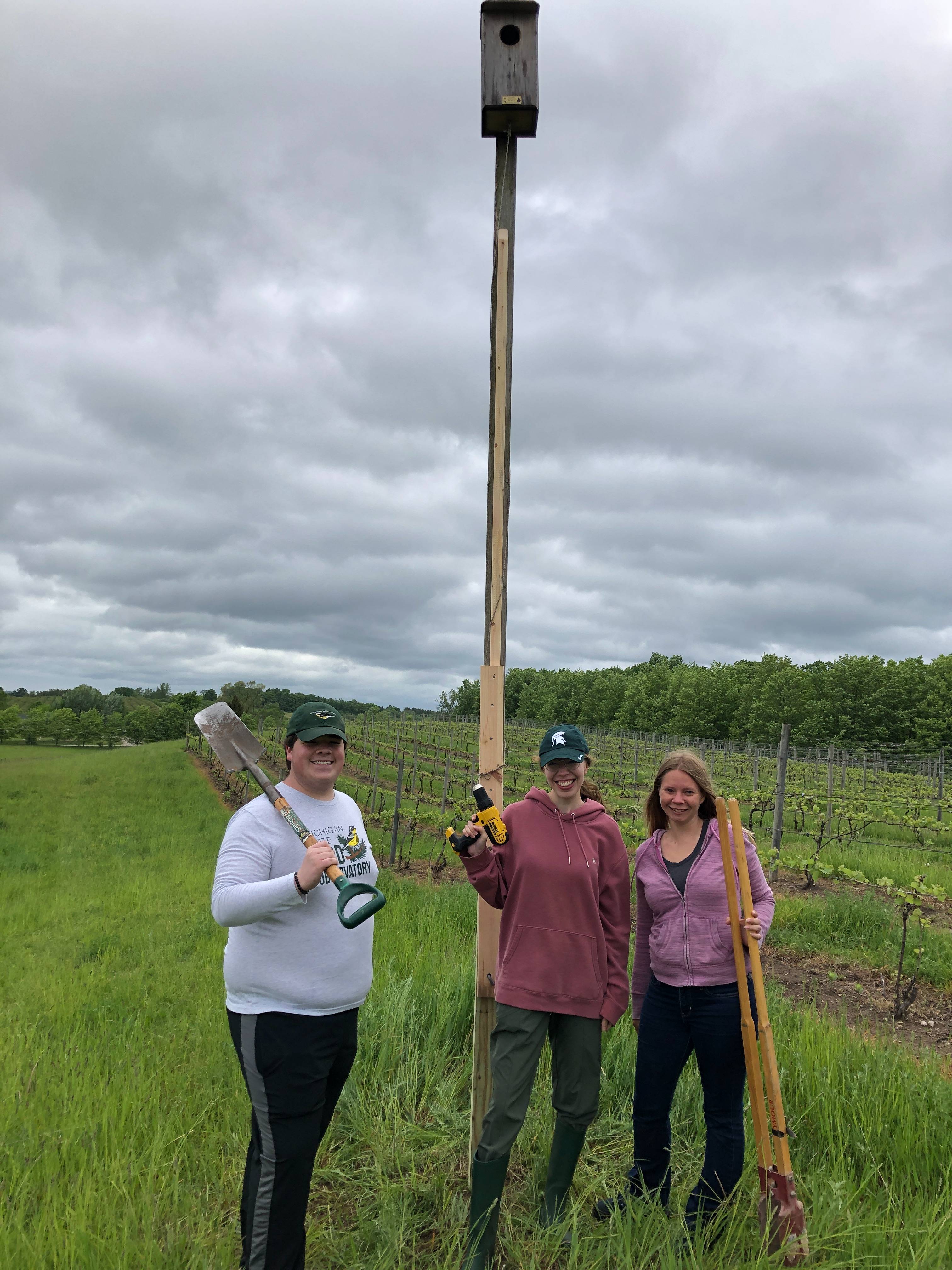 American Kestrel nest box 2024 Leelanau County