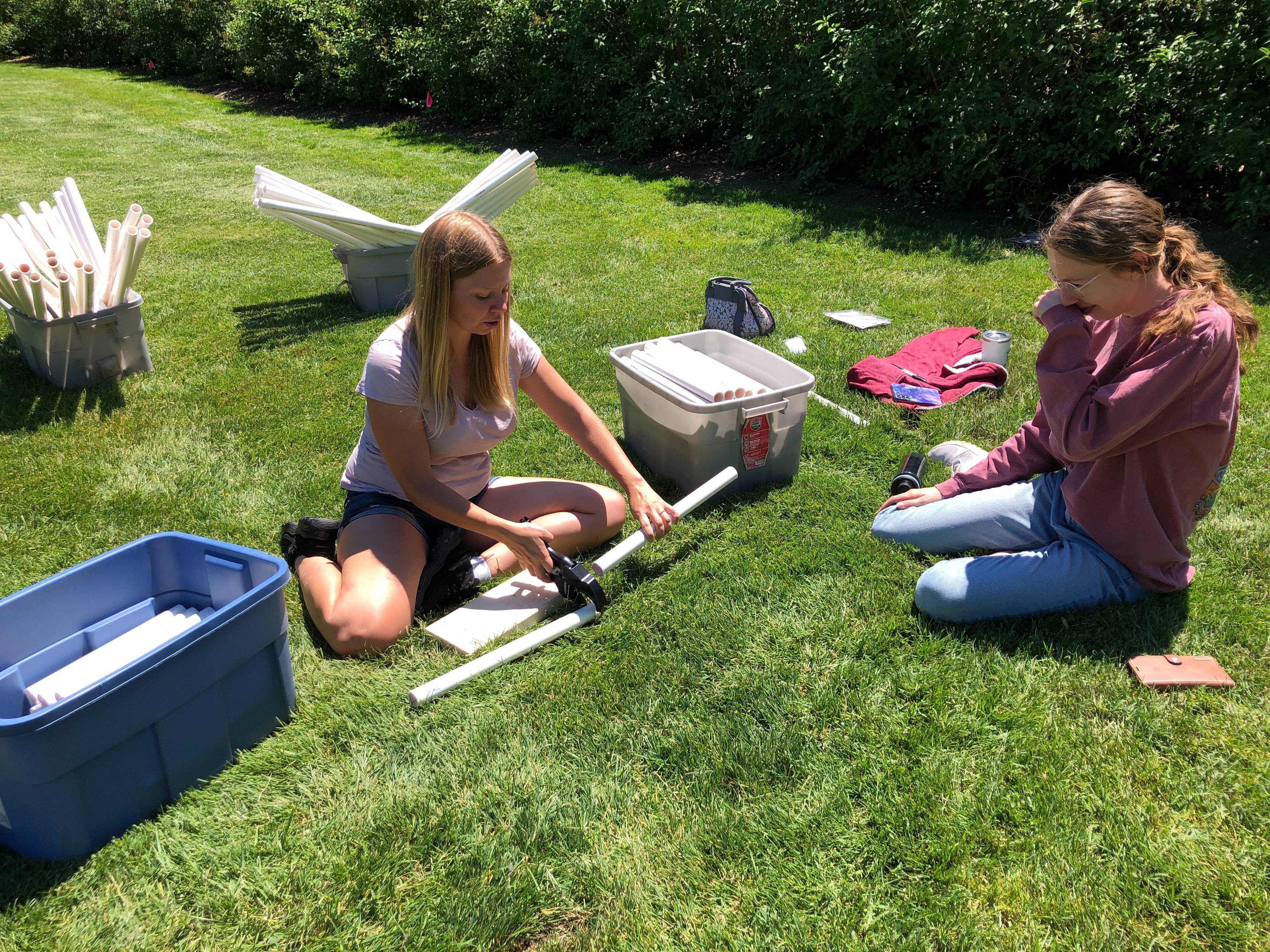 Building exclosures for experiment, 2024, Michigan State University campus